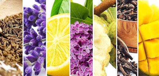 ¿Cuál es la Mejor Temperatura para tu Vaporizador Herbal? Guía de Terpenos - DIY Vape Shop