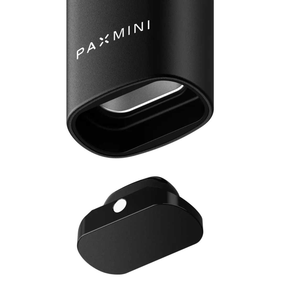 PAX MINI V2