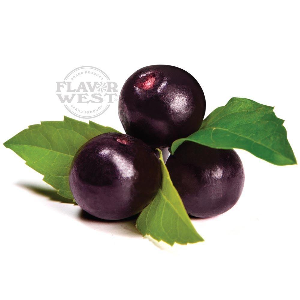 Acai Berry FW - Aroma - Flavorwest | AR-FW-AC