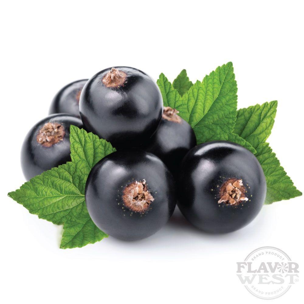 Black Currant FW - Aroma - Flavorwest | AR-FW-BC