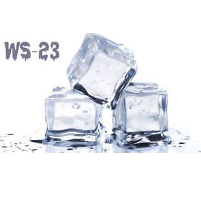 WS - 23 (Extra Frio) - Aroma - DIY VAPE | AR-WS-23-01